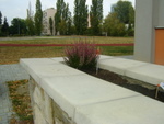 DSC02775.JPG